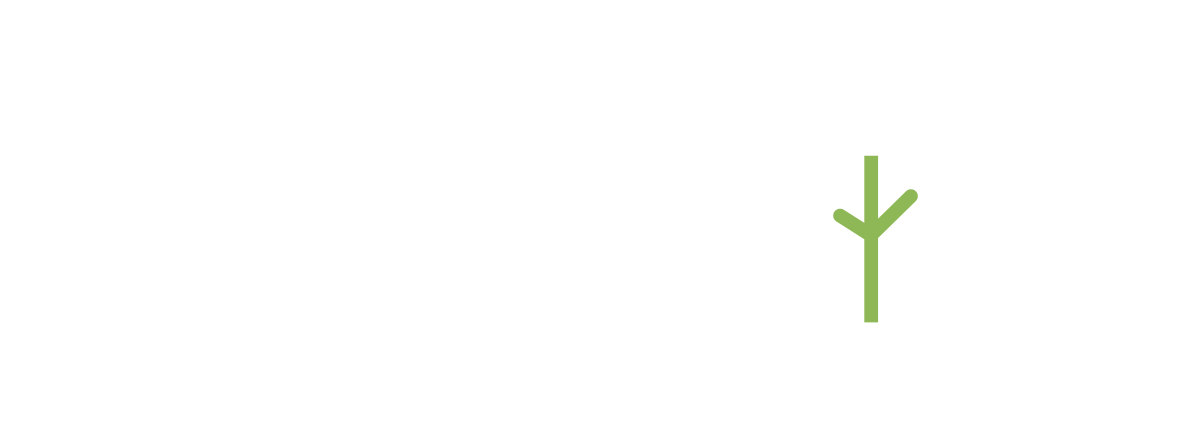 Tulip Pictures