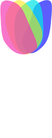 Tulipan_blanco